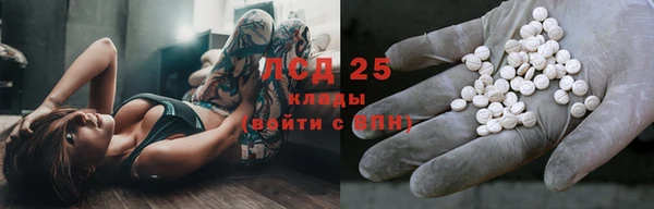 ПСИЛОЦИБИНОВЫЕ ГРИБЫ Абаза